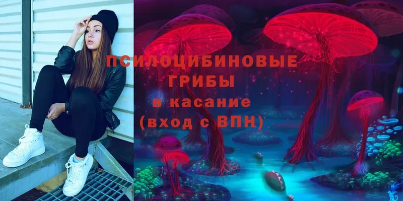 Галлюциногенные грибы Psilocybe  Верхняя Салда 